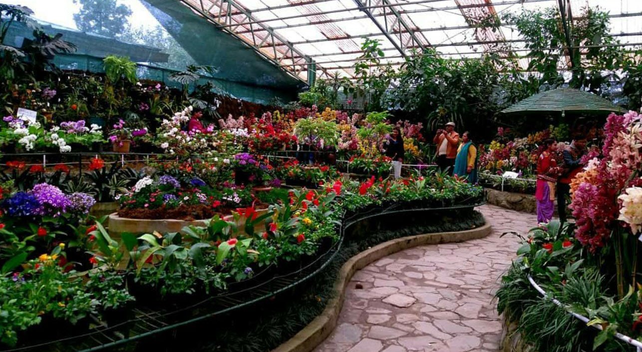 Ridge Flower Park